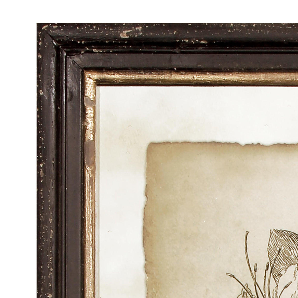 Napa  FRAMED VINTAGE FLORAL PRINTS, SET OF 6