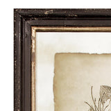 Napa  FRAMED VINTAGE FLORAL PRINTS, SET OF 6