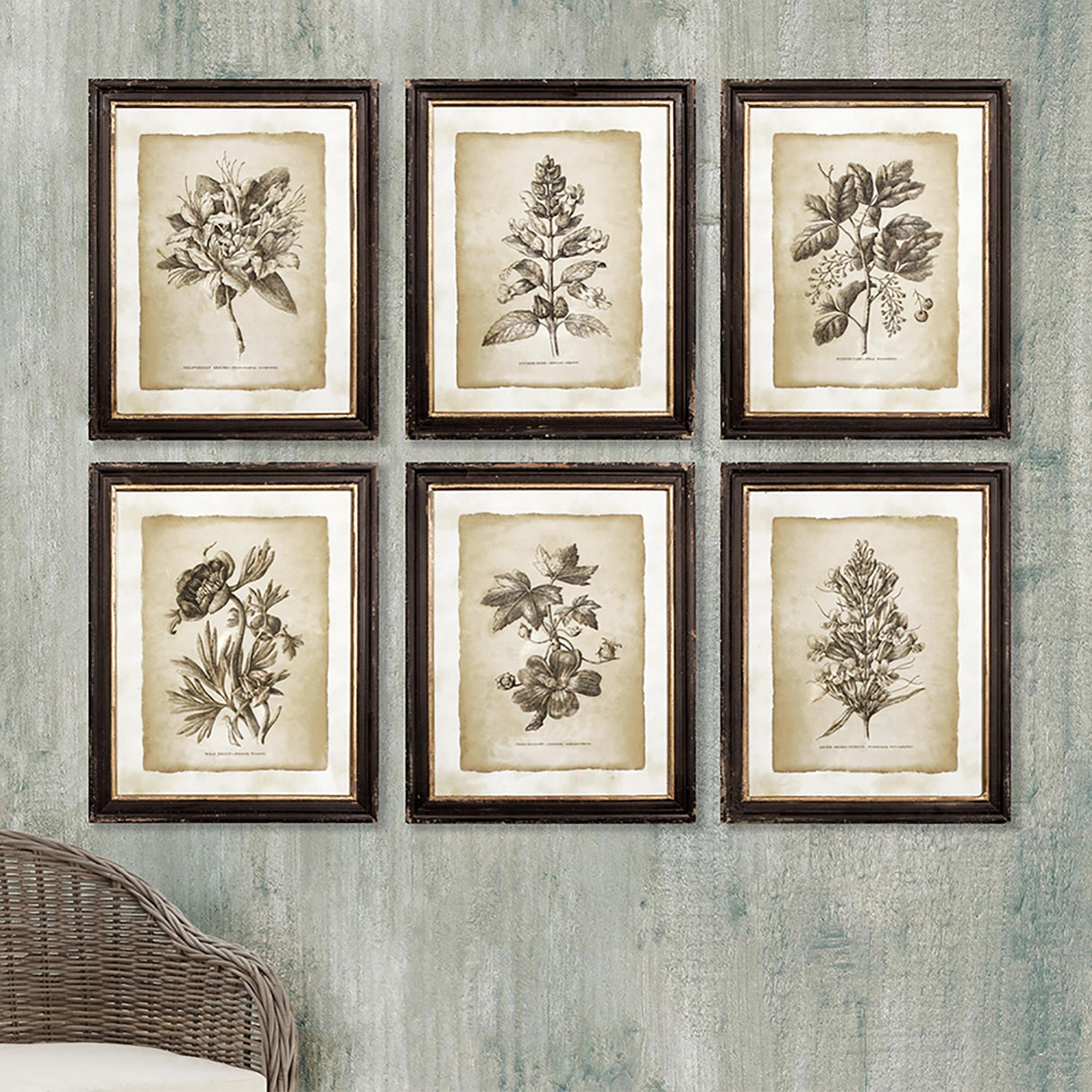 Napa  FRAMED VINTAGE FLORAL PRINTS, SET OF 6