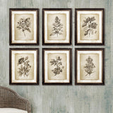 Napa  FRAMED VINTAGE FLORAL PRINTS, SET OF 6