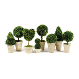 Napa Preserved boxwood BOXWOOD TOPIARIES IN POTS, SET OF 8