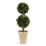 Napa Preserved boxwood BOXWOOD DOUBLE SPHERE TOPIARY 20"