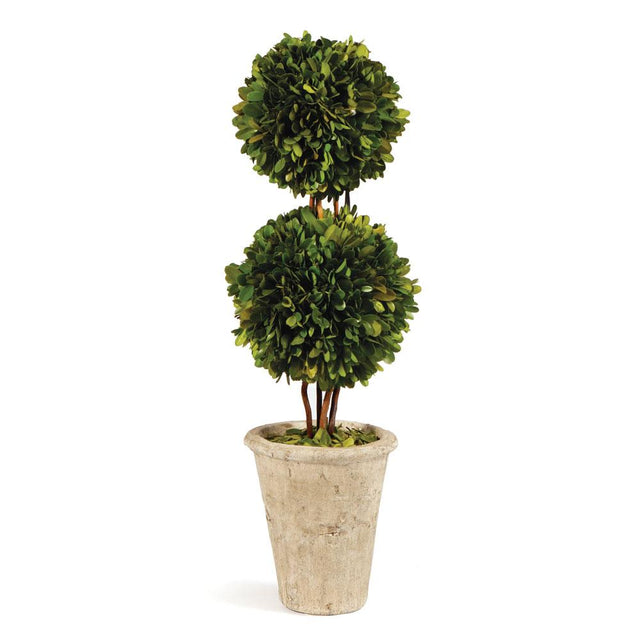 Napa Preserved boxwood BOXWOOD DOUBLE SPHERE TOPIARY 20"