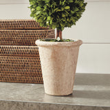 Napa Preserved boxwood BOXWOOD DOUBLE SPHERE TOPIARY 20"