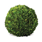 Napa Preserved boxwood BOXWOOD BALL 16"