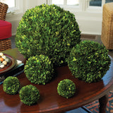 Napa Preserved boxwood BOXWOOD BALL 16"