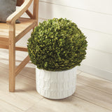 Napa Preserved boxwood BOXWOOD BALL 16"