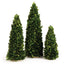 Napa Preserved boxwood BOXWOOD MINI TREES, SET OF 3