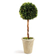 Napa Preserved boxwood BOXWOOD SINGLE SPHERE TOPIARY 18.5"