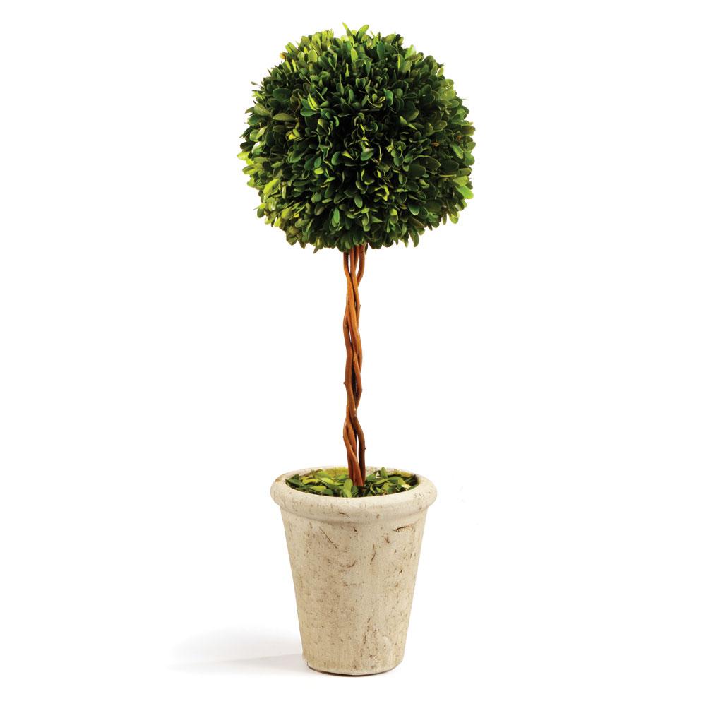 Napa Preserved boxwood BOXWOOD SINGLE SPHERE TOPIARY 18.5"