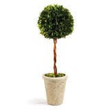 Napa Preserved boxwood BOXWOOD SINGLE SPHERE TOPIARY 18.5"