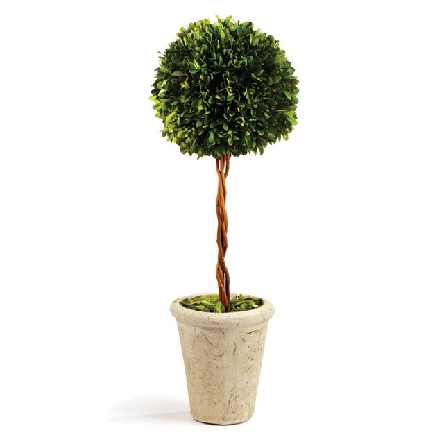 Napa Preserved boxwood BOXWOOD SINGLE SPHERE TOPIARY 18.5"