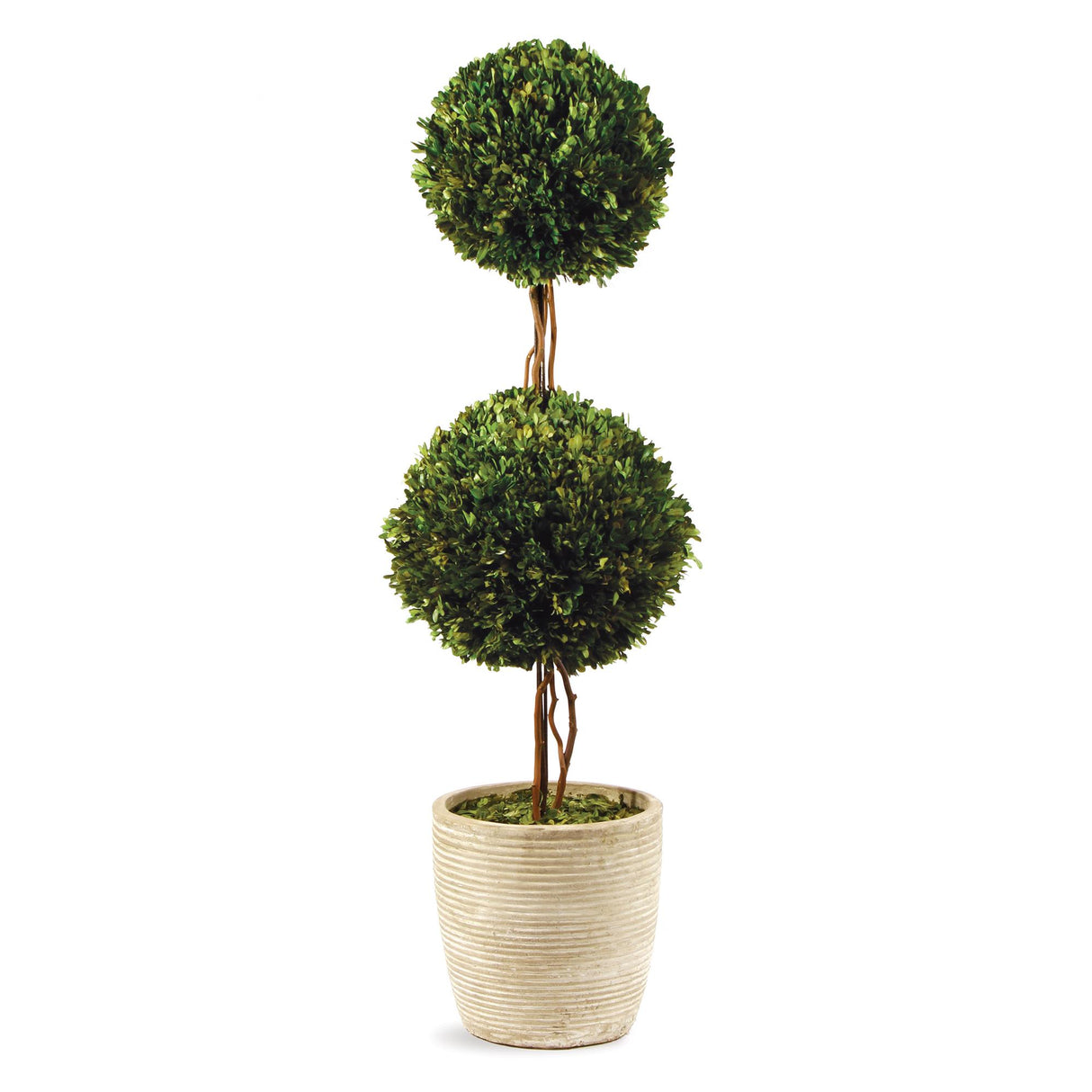 Napa Preserved boxwood BOXWOOD DOUBLE SPHERE TOPIARY 28"