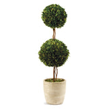 Napa Preserved boxwood BOXWOOD DOUBLE SPHERE TOPIARY 28"
