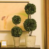 Napa Preserved boxwood BOXWOOD DOUBLE SPHERE TOPIARY 28"