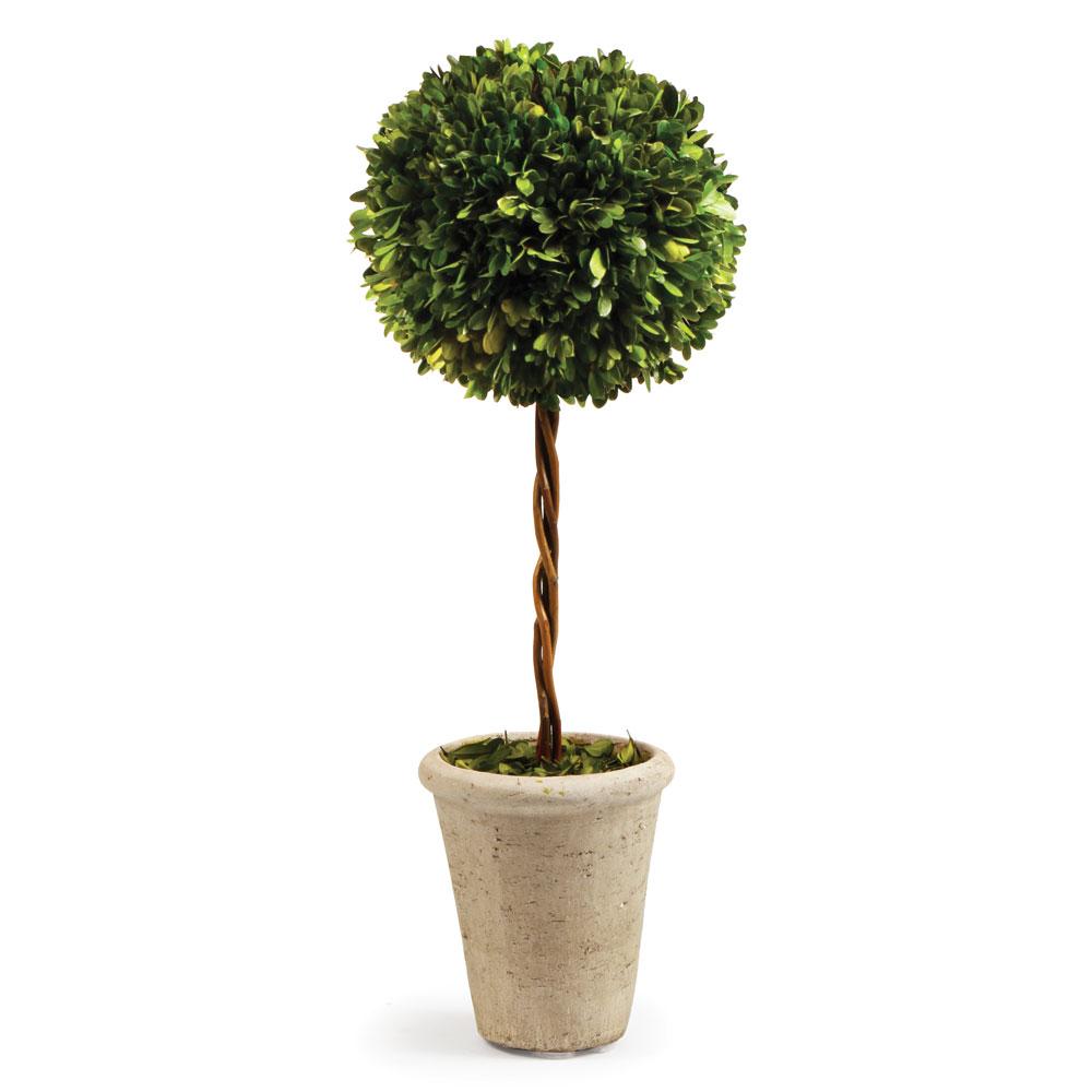 Napa Preserved boxwood BOXWOOD SINGLE SPHERE TOPIARY 23.25"