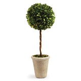 Napa Preserved boxwood BOXWOOD SINGLE SPHERE TOPIARY 23.25"