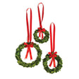 Napa Preserved boxwood BOXWOOD WREATHS WITH RED RIBBONS, SET OF 3