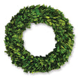 Napa Preserved boxwood BOXWOOD WREATH 12"