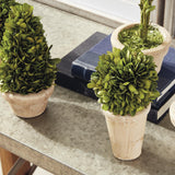 Napa Preserved boxwood BOXWOOD TOPIARIES IN POTS, SET OF 5