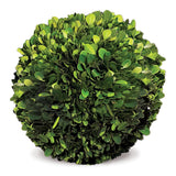 Napa Preserved boxwood BOXWOOD BALL 8"