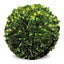 Napa Preserved boxwood BOXWOOD BALL 8"