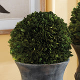 Napa Preserved boxwood BOXWOOD BALL 8"