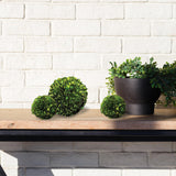 Napa Preserved boxwood BOXWOOD BALL 8"