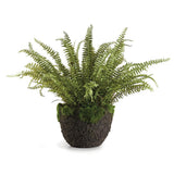 Napa Green GRAND BOSTON FERN DROP-IN 30"
