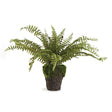 Napa Green BOSTON FERN DROP-IN 16"