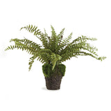 Napa Green BOSTON FERN DROP-IN 16"