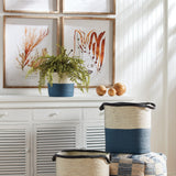 Napa Green BOSTON FERN DROP-IN 16"