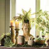 Napa Green BOSTON FERN DROP-IN 16"