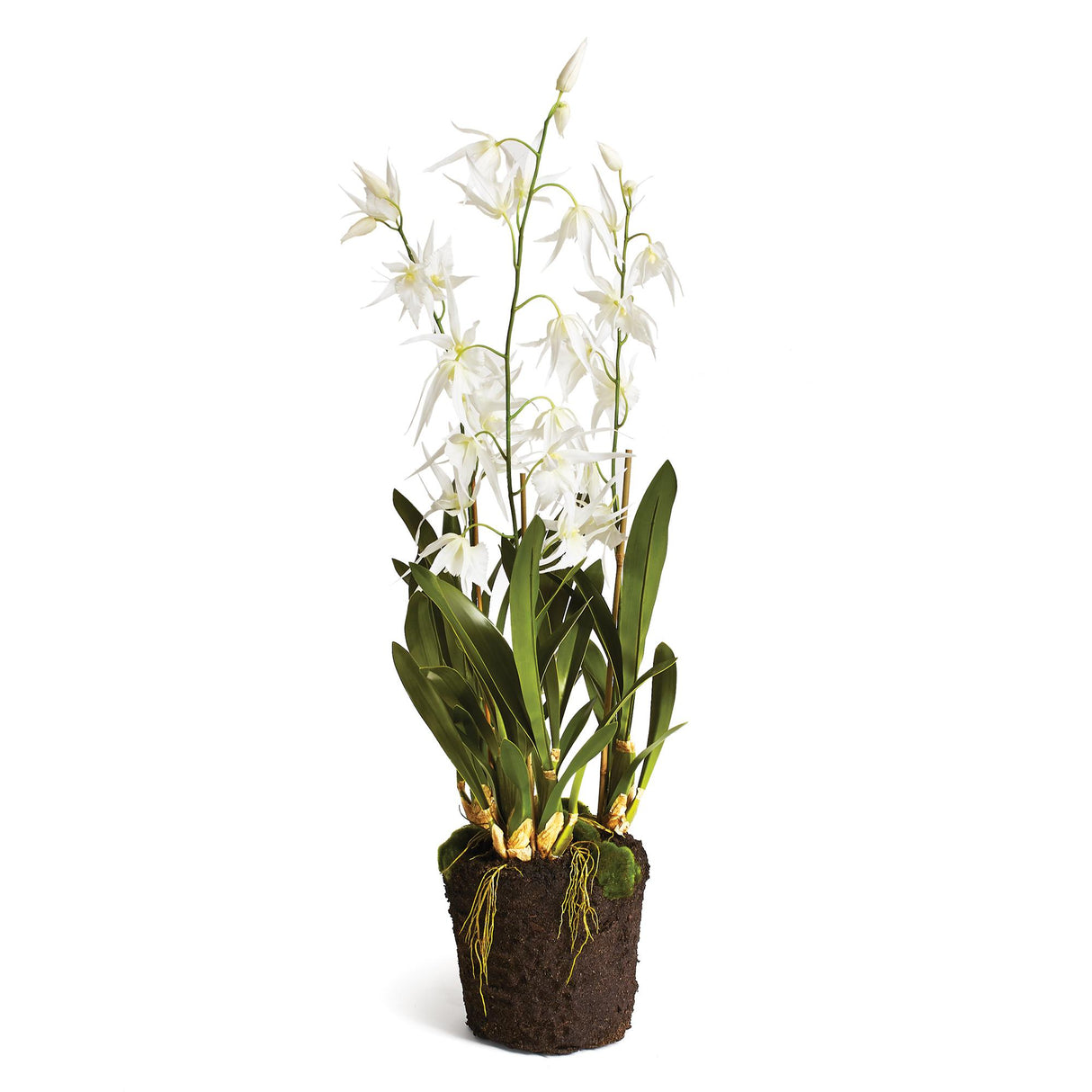 Napa White SPIDER ORCHID DROP-IN 44"