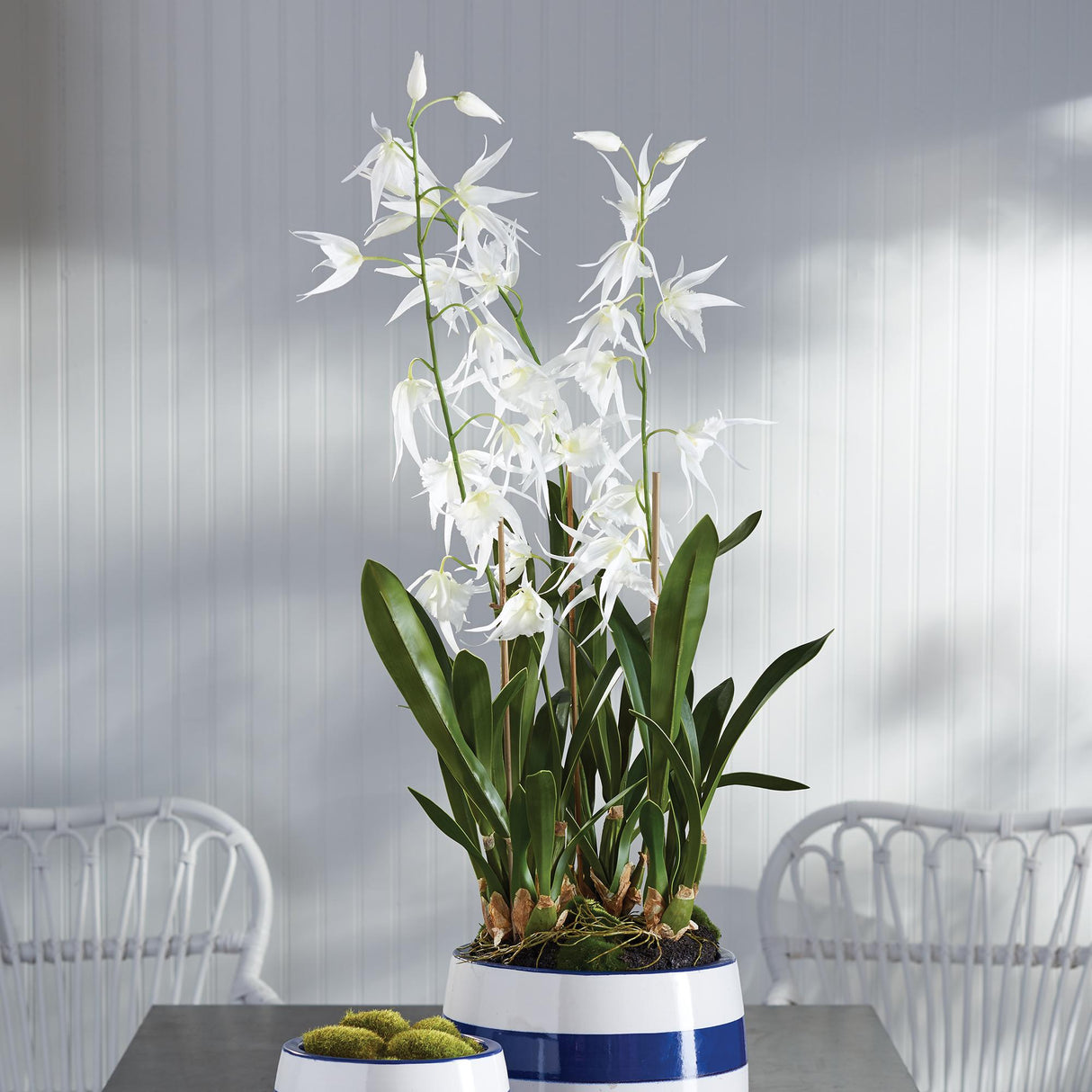 Napa White SPIDER ORCHID DROP-IN 44"