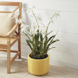Napa White SPIDER ORCHID DROP-IN 44"