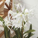 Napa White SPIDER ORCHID DROP-IN 44"