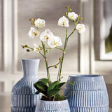 Napa White PHALAENOPSIS X 2 DROP-IN 23"