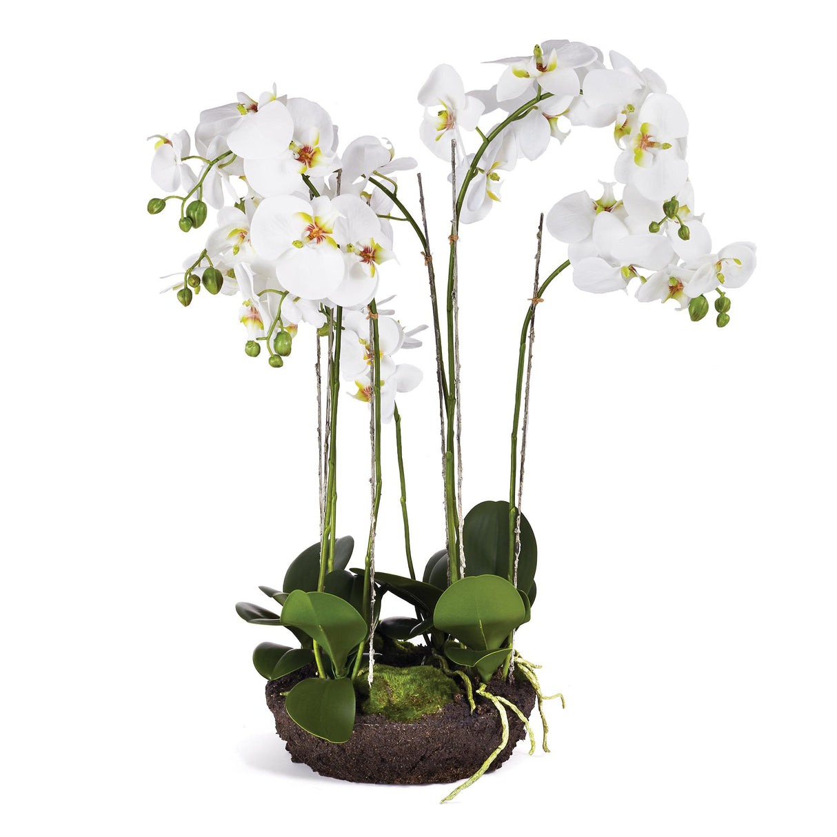Napa White PHALAENOPSIS BOWL DROP-IN 31.5"