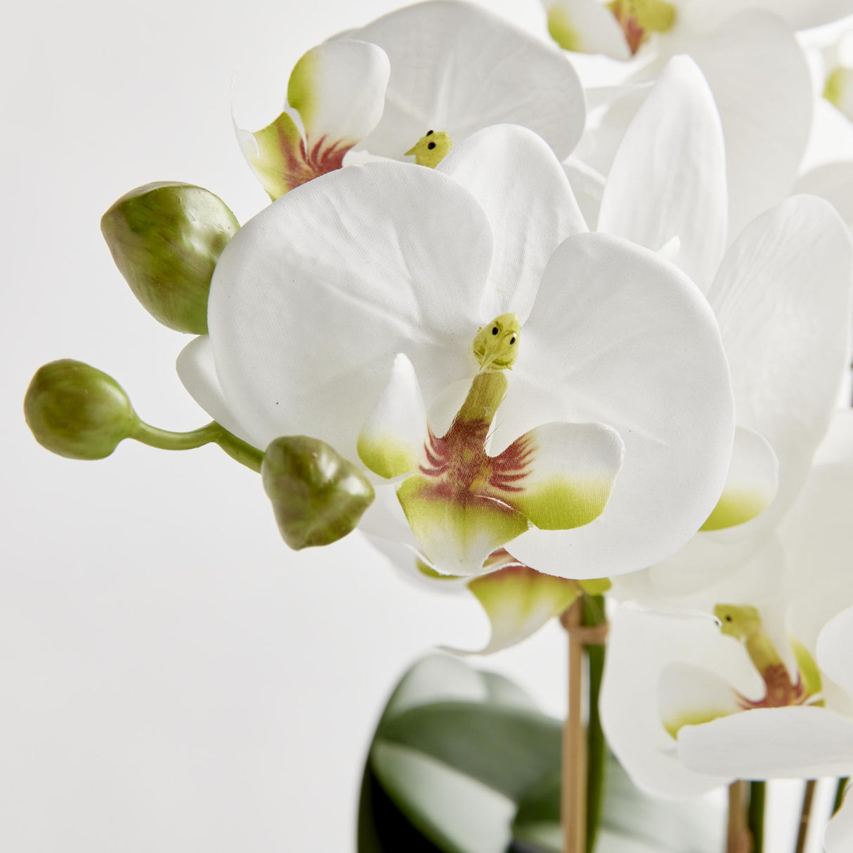 Napa White Phalaenopsis Bowl Drop-In 31.5"