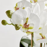 Napa White Phalaenopsis Bowl Drop-In 31.5"