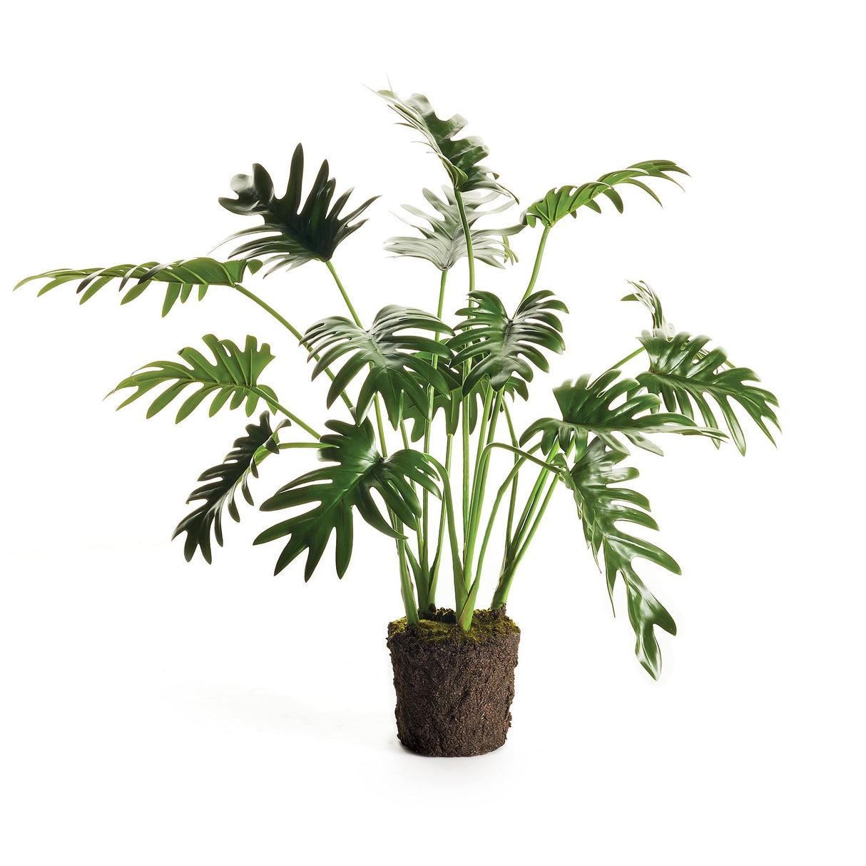 Napa  SPLIT LEAF SELLOUM DROP-IN 22.5"