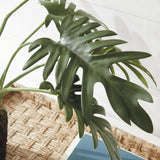 Napa  SPLIT LEAF SELLOUM DROP-IN 22.5"