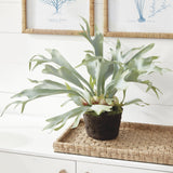 Napa Sage STAGHORN FERN DROP-IN 21"