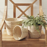 Napa Natural CANE RATTAN MINI ROUND BASKETS, SET OF 3