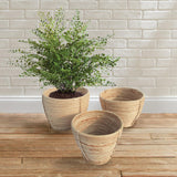 Napa Natural CANE RATTAN ROUND TAPERED BASKETS, SET OF 3