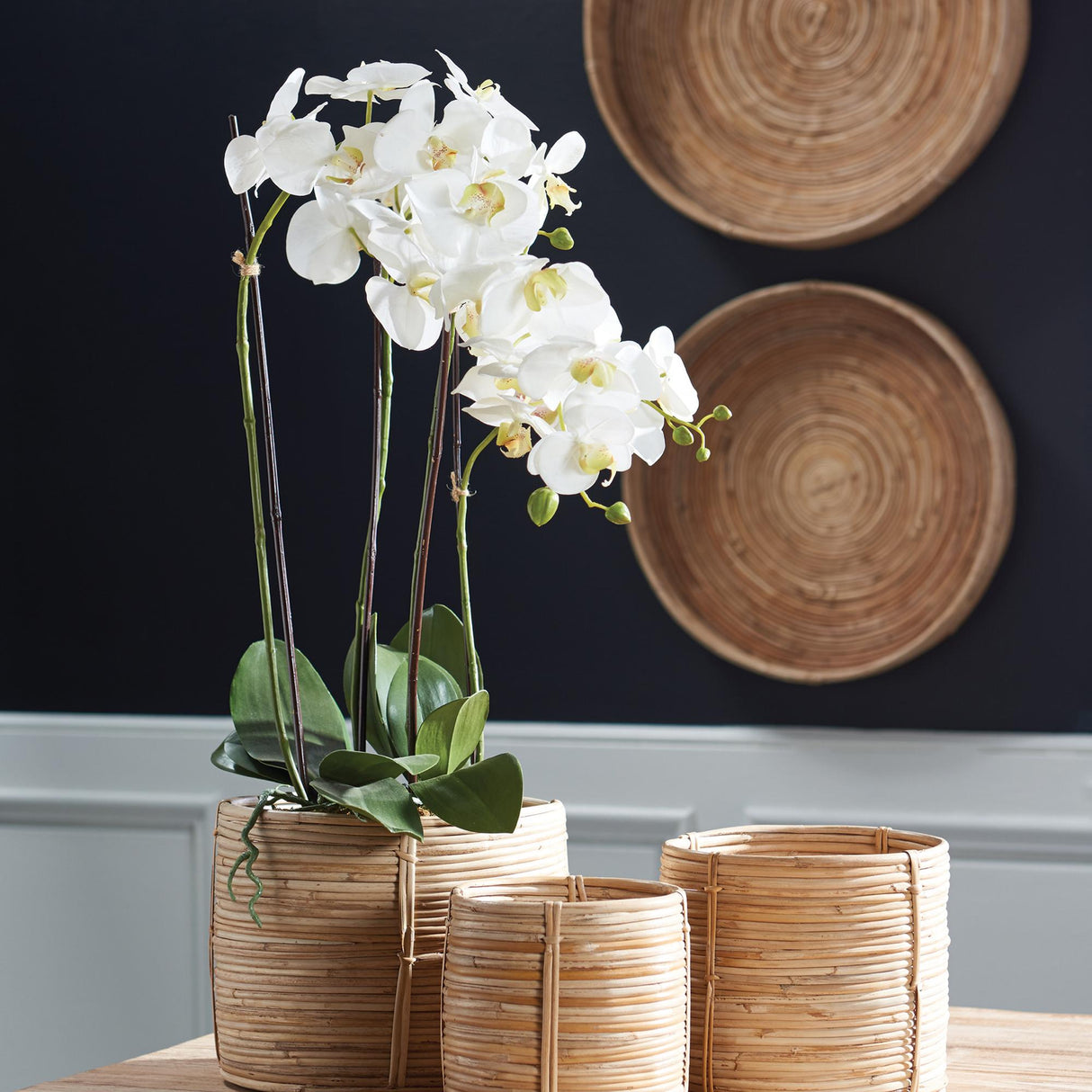 Napa White PHALAENOPSIS ORCHID DROP-IN 30"