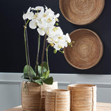 Napa White PHALAENOPSIS ORCHID DROP-IN 30"