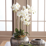Napa White PHALAENOPSIS ORCHID DROP-IN 30"