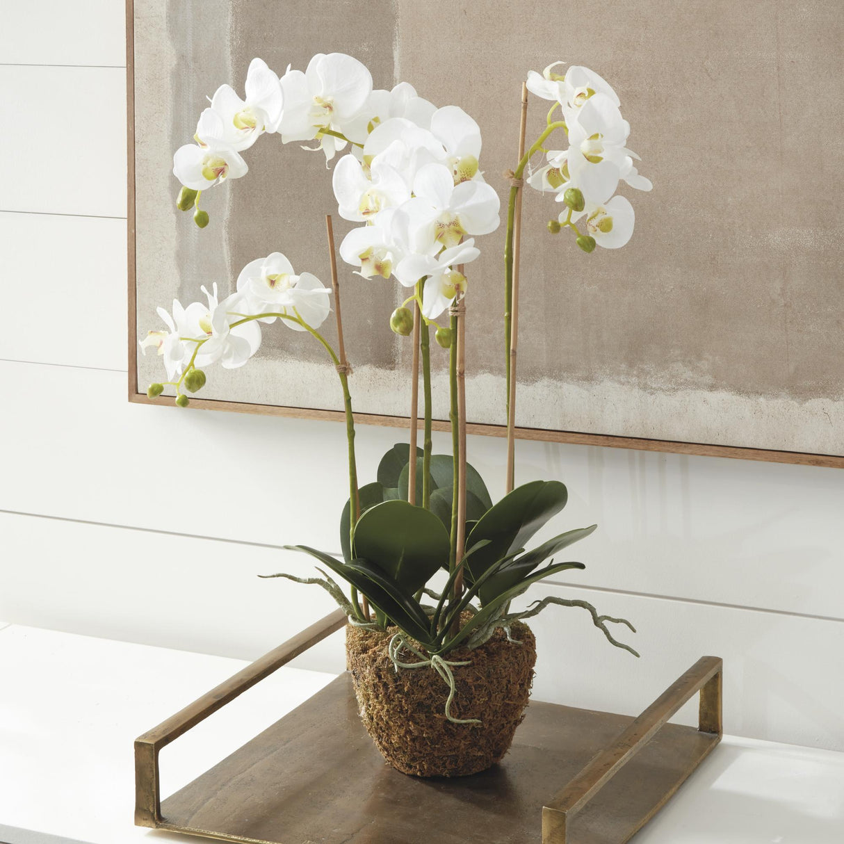 Napa White PHALAENOPSIS ORCHID DROP-IN 30"